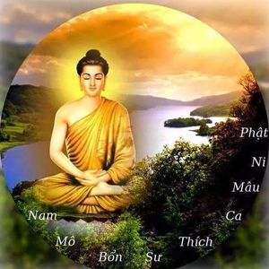 Meet your Posher, Hai